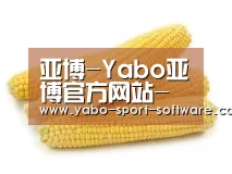 产品名称五