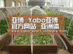环境展示五
