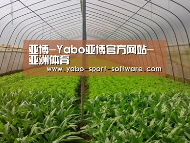 种植基地四