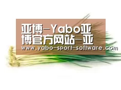 产品名称二