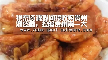 银泰资源拟间接收购贵州鼎盛鑫,控股贵州第一大铅锌矿_亚博体育(图1) 亚博体育